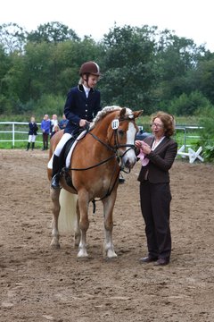 Bild 1066 - WBO-Turnier am 18.9.11